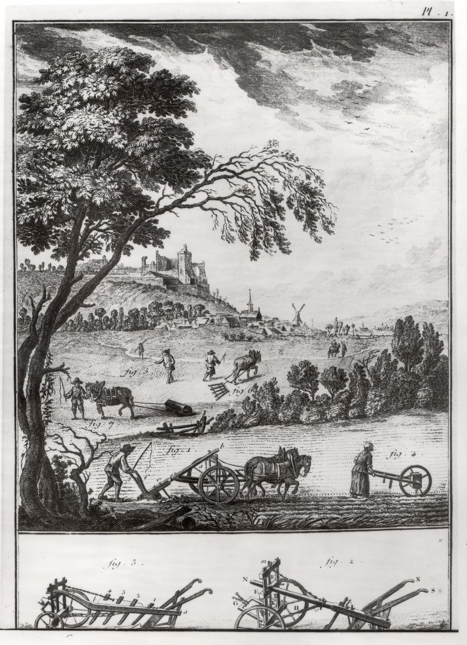Zemědělství, deska I z Encyklopedie Denise Diderota (1713-84) 1762 od French School