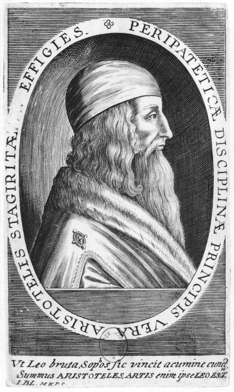 Aristoteles (384-322 př.n.l.) od French School