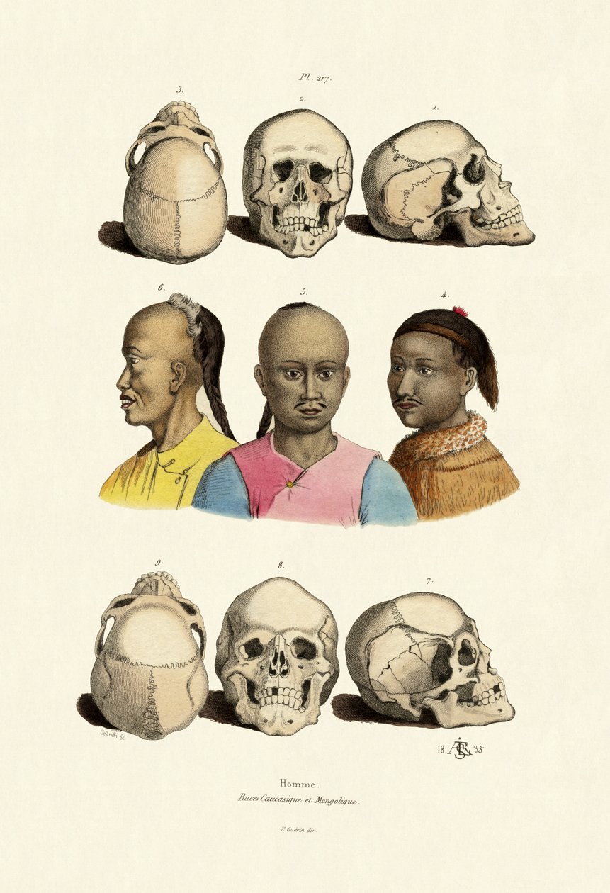 Kavkazané, 1833-39 od French School