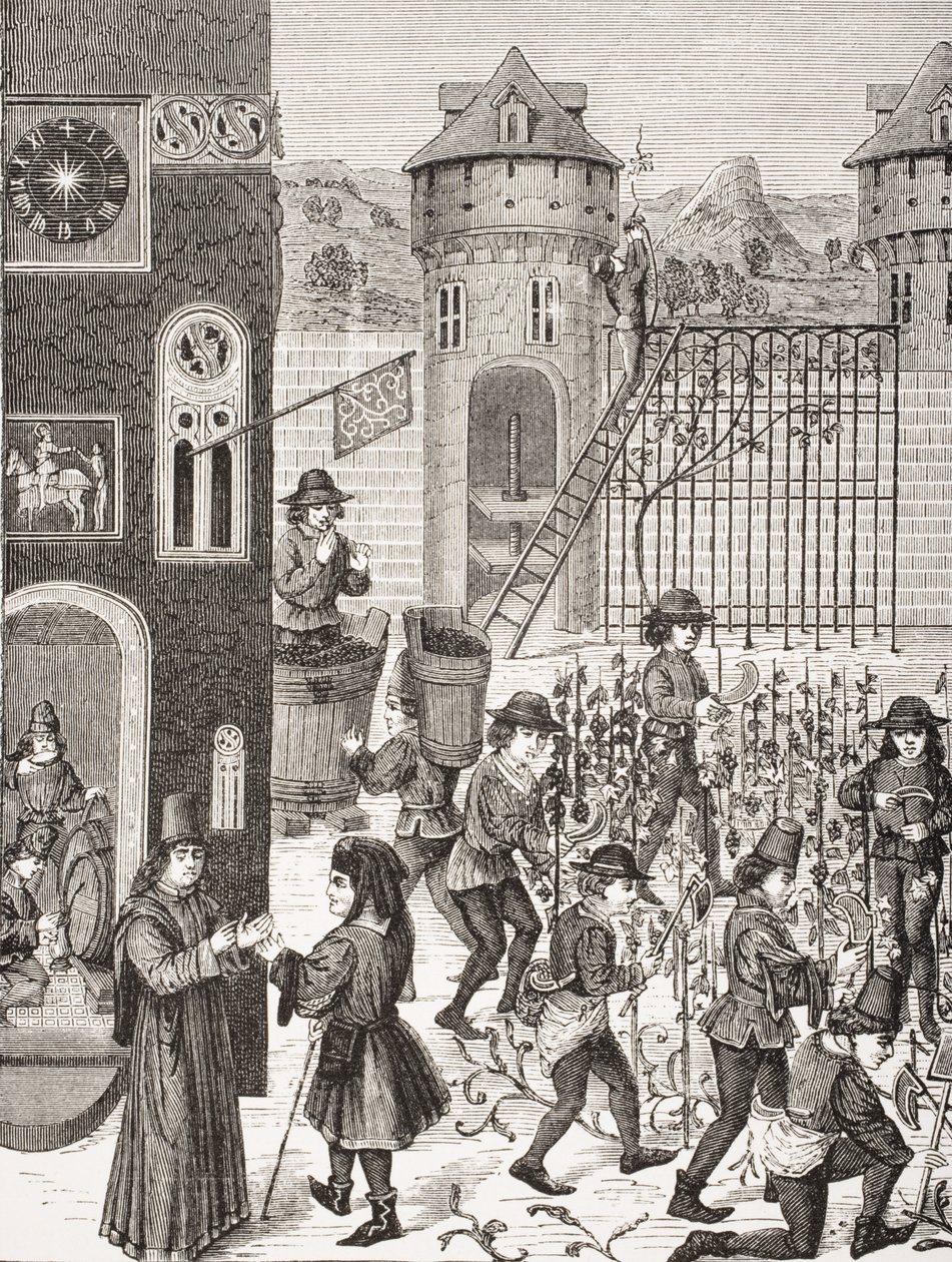 Pěstování ovoce podle miniatury v rukopisu z 15. století z „Le Moyen Age et La Renaissance“ od Paula Lacroixe (1806–84) vydaného v roce 1847 od French School