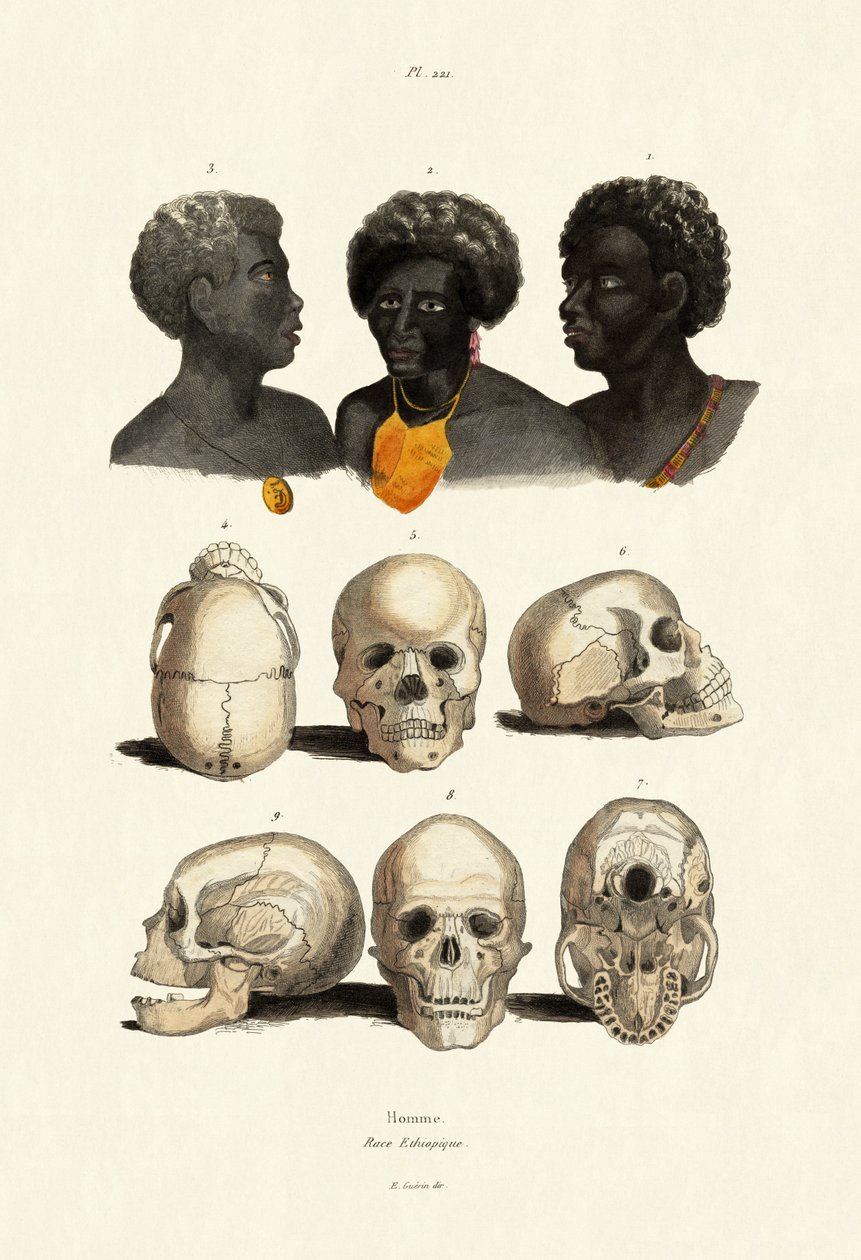 Etiopané, 1833-39 od French School
