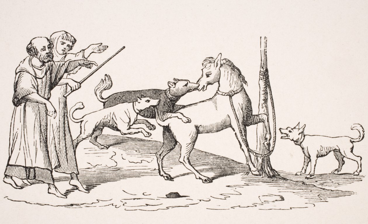 Boj mezi koněm a psy, reprodukce miniatury v rukopisu ze 13. století, z „Le Moyen Age et La Renaissance“ od Paula Lacroixe (1806-84), vydaného v roce 1847 od French School