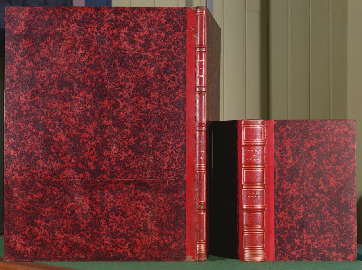 Přední strana obálky Description de lEgypte, kniha 1, svazek II, Starožitnosti, a zadní obálka knihy 8, svazek I, Histoire Naturelle, 1809 (kůže) od French School