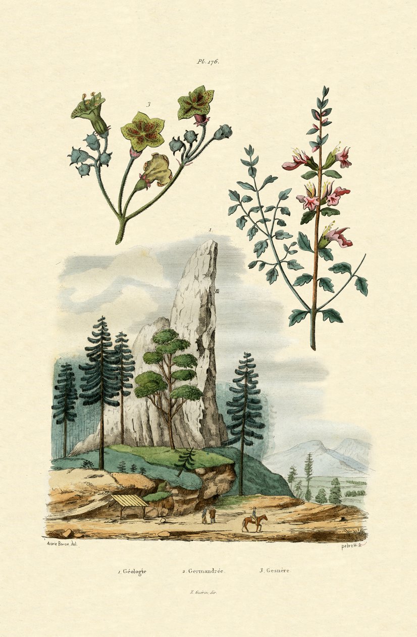 Geologie, 1833-39 od French School
