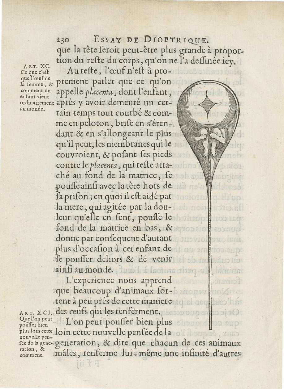 Homunculus zobrazený uvnitř lidského spermatu, z Essay de Dioptrique od Niklasse Hartsoekera, 1694 od French School