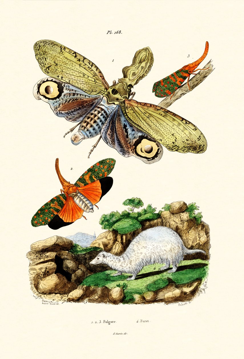 Lucerna, 1833-39 od French School