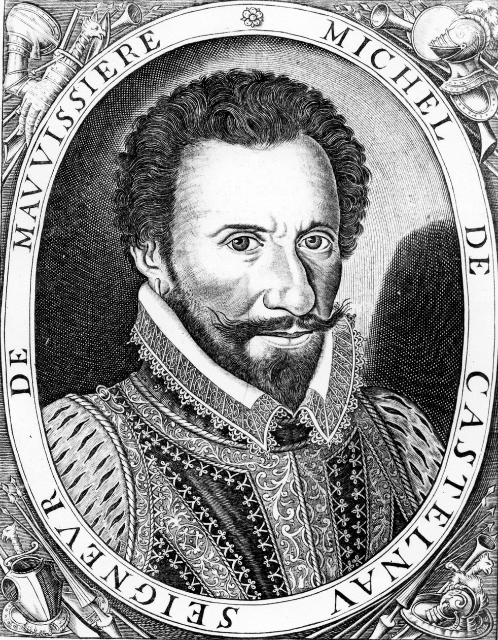 Michel de Castelnau, lord z Mauvissière, od French School