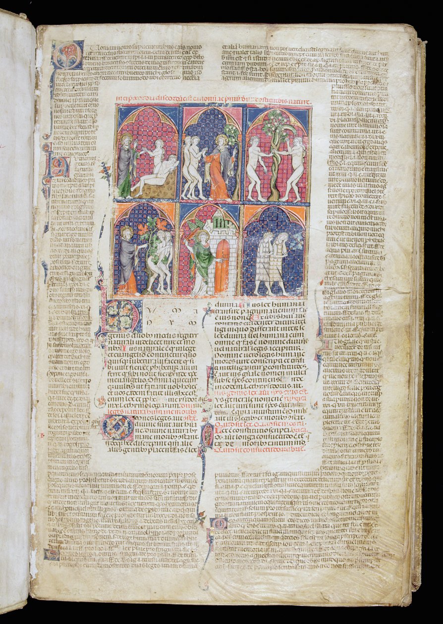 Ms. 262, f.1r: Six scenes of Creation and Fall from Gratian