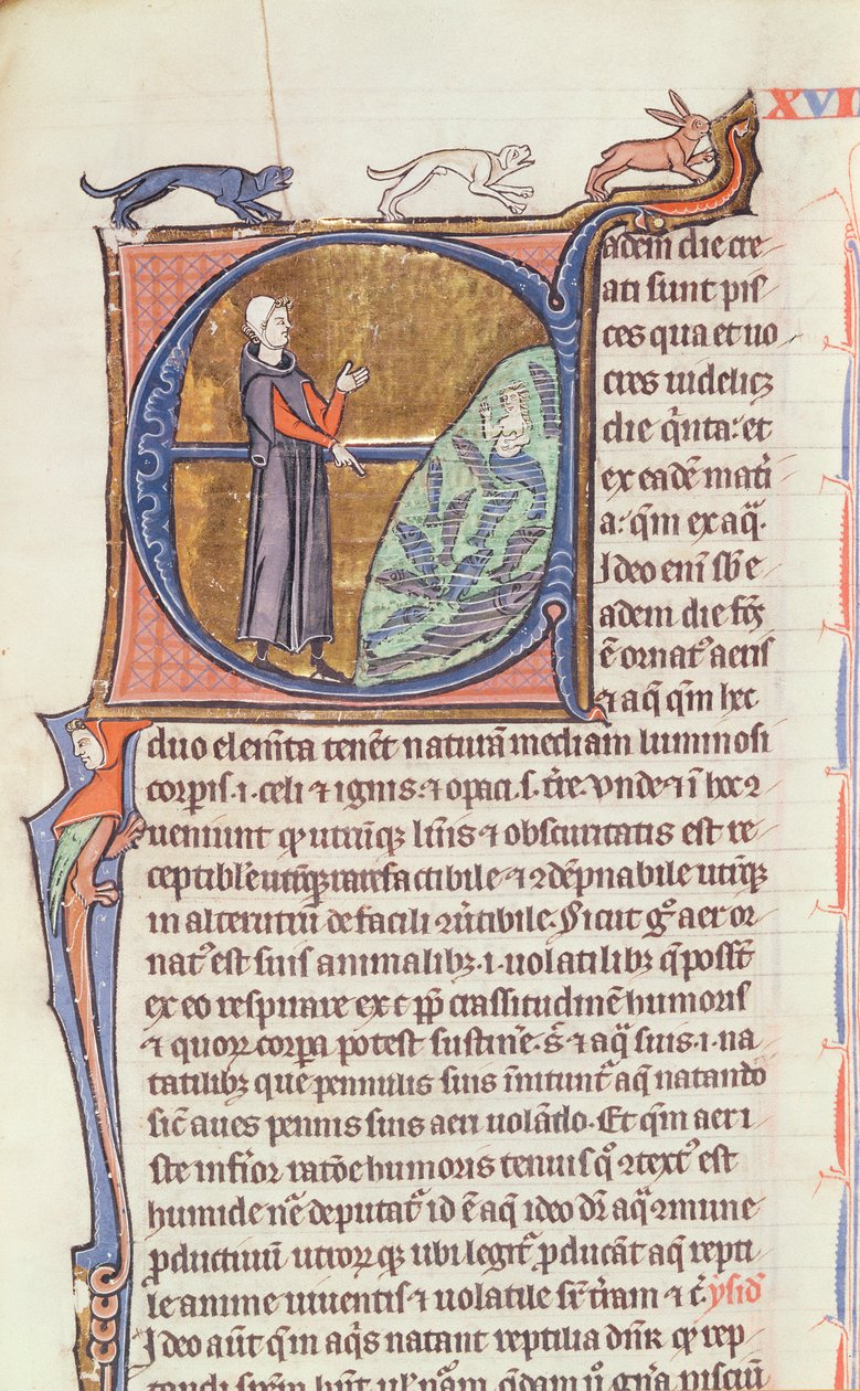 Ms 426 fol. 213 Lékař u rybníka, z „Le Miroir de la Nature“ od Vincenta de Beauvais od French School