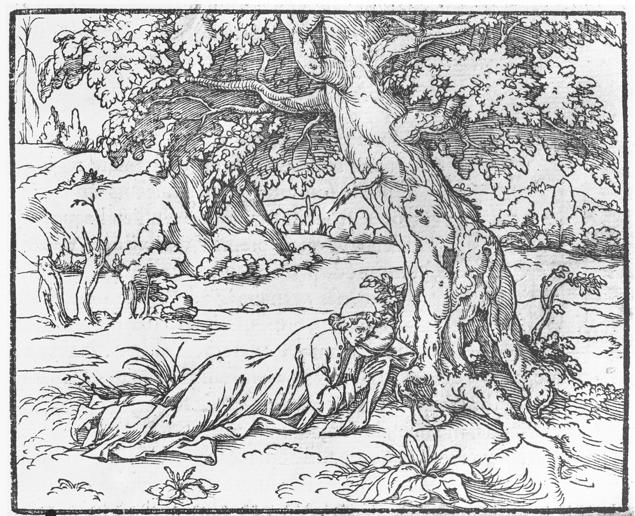 Stránka z Discours du Songe de Poliphile, Francesco Colonna, 1546 od French School