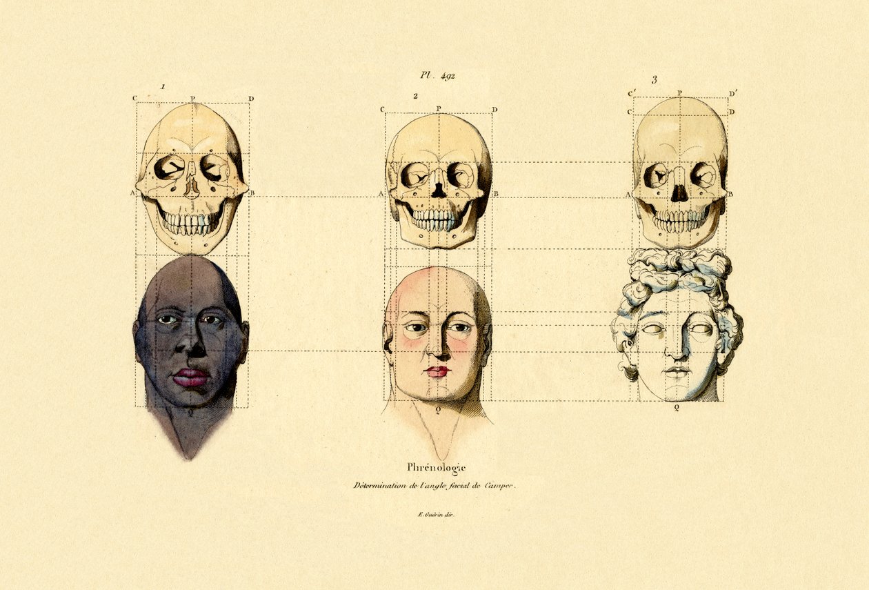 frenologie, 1833-39 od French School