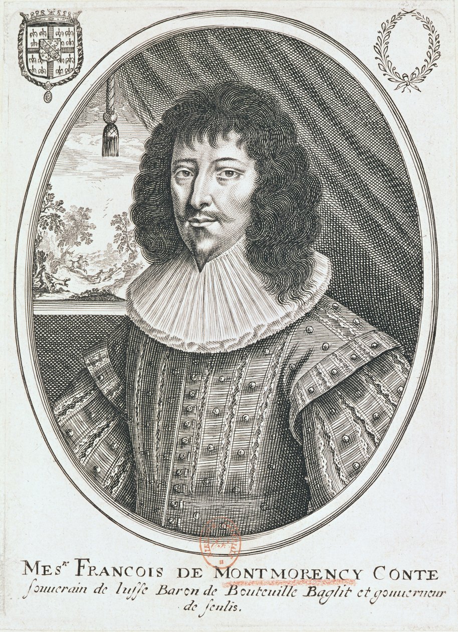 Portrét Francoise de Montmorency (1530-79) 1600-27 od French School