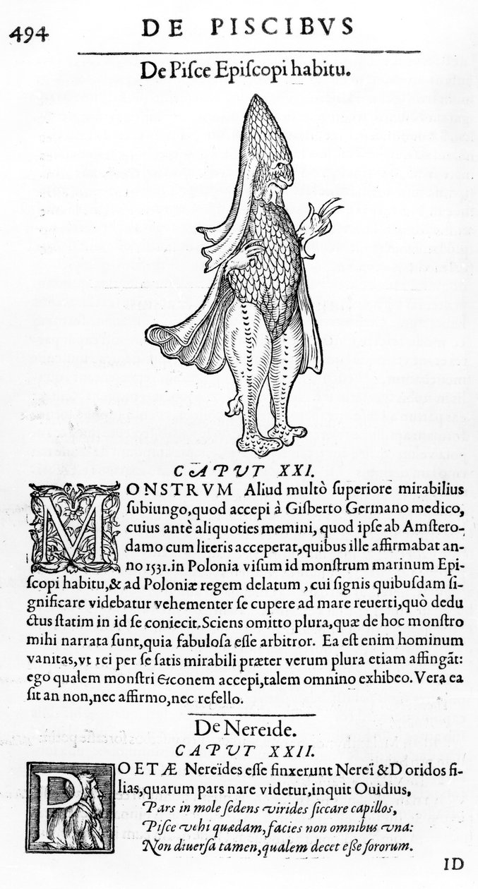 Mořská příšera, ilustrace z 