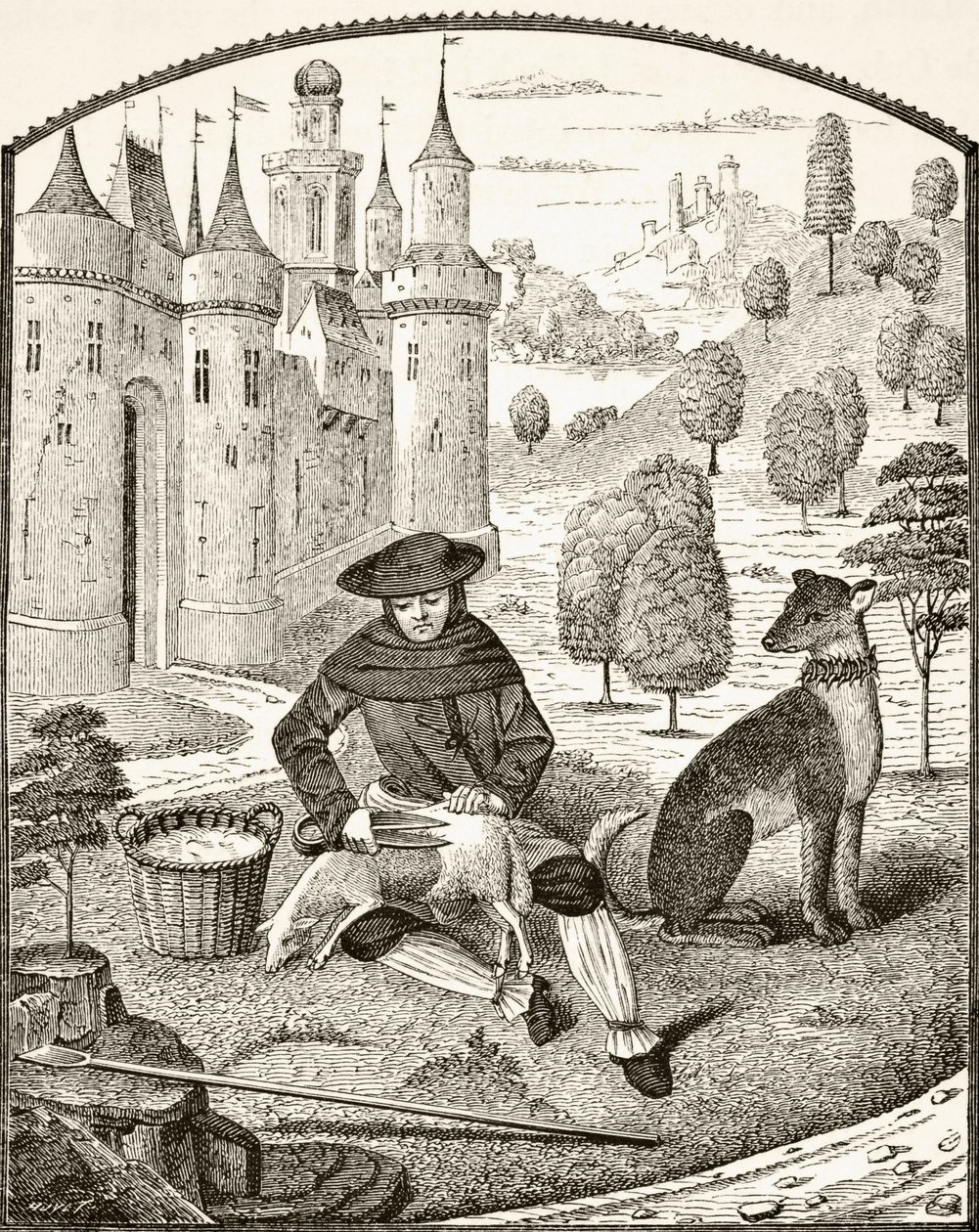 Stříhání ovcí ve středověku z knihy „Věda a literatura ve středověku“ od Paula Lacroixe (1806-84), vydaná v Londýně 1878 od French School