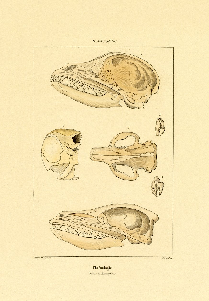 Lebky, 1833-39 od French School