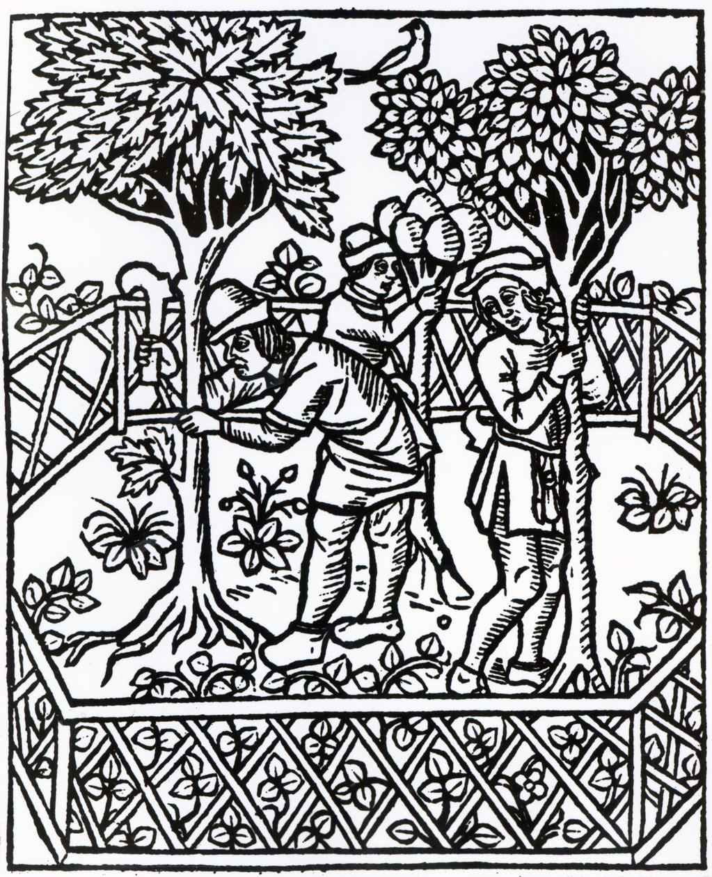 Ošetřování vinné révy z knihy "Livre des prouffits champetres" od Petra de Crescentiis, vydání z roku 1529 od French School