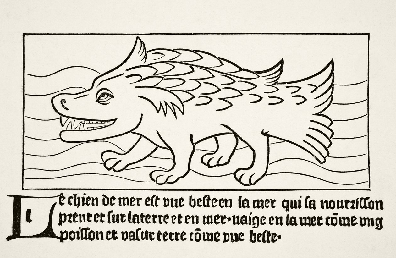 Mořský pes, z knihy Paula Lacroixe (1806-84) "Science and Literature in the Middle Ages", vydané v Londýně 1878. od French School