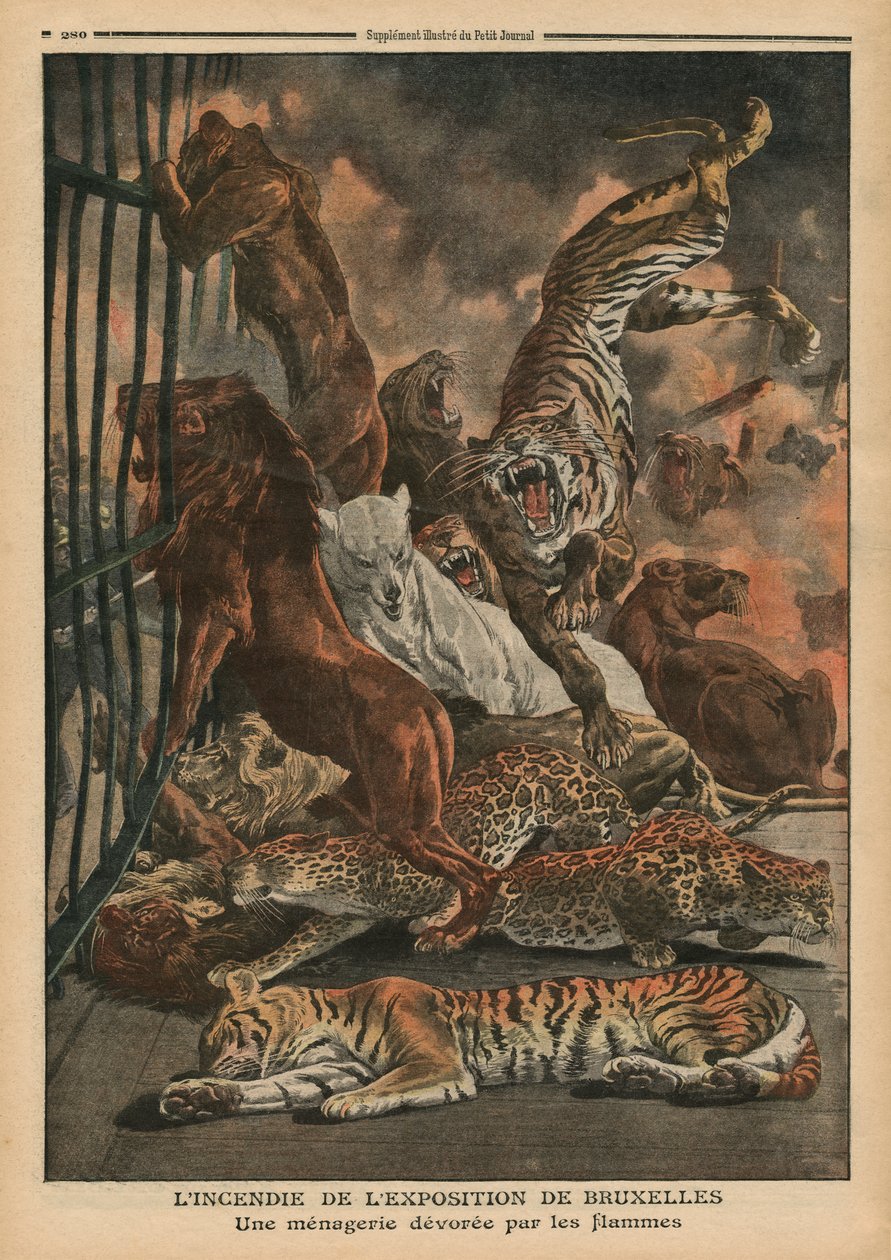 Požár na Všeobecné výstavě v Bruselu, zvěřinec pohlcený plameny, ilustrace z 
