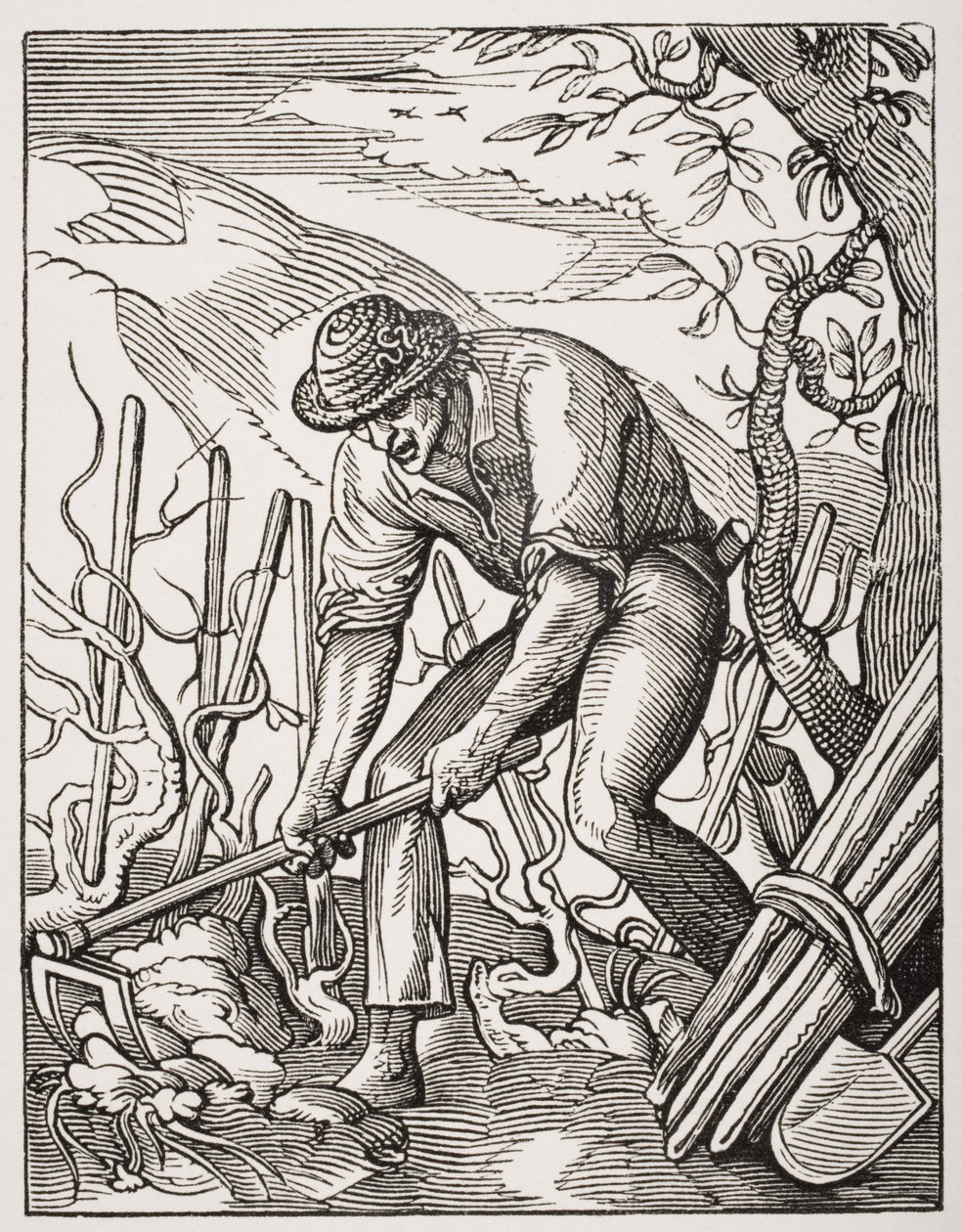 Pěstitel vína podle rytiny Josta Ammana (1539-91) z „Le Moyen Age et La Renaissance“ od Paula Lacroixe (1806-84) publikované v roce 1847 od French School