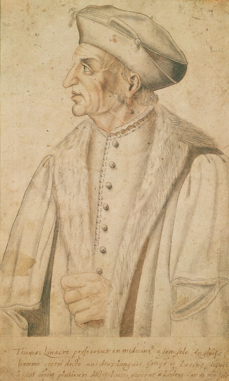 Thomas Linacre (sangvinik na papíře) od French School