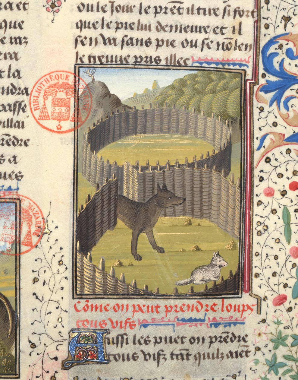 Vlk se chystá zaútočit na jehně, z Livre de la Chasse od Gastona Phebuse de Foix (1331-91) od French School