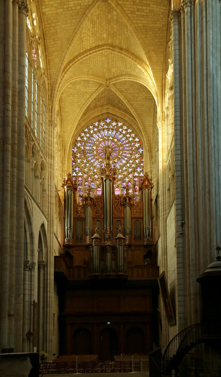Pohled na jižní transept od French School