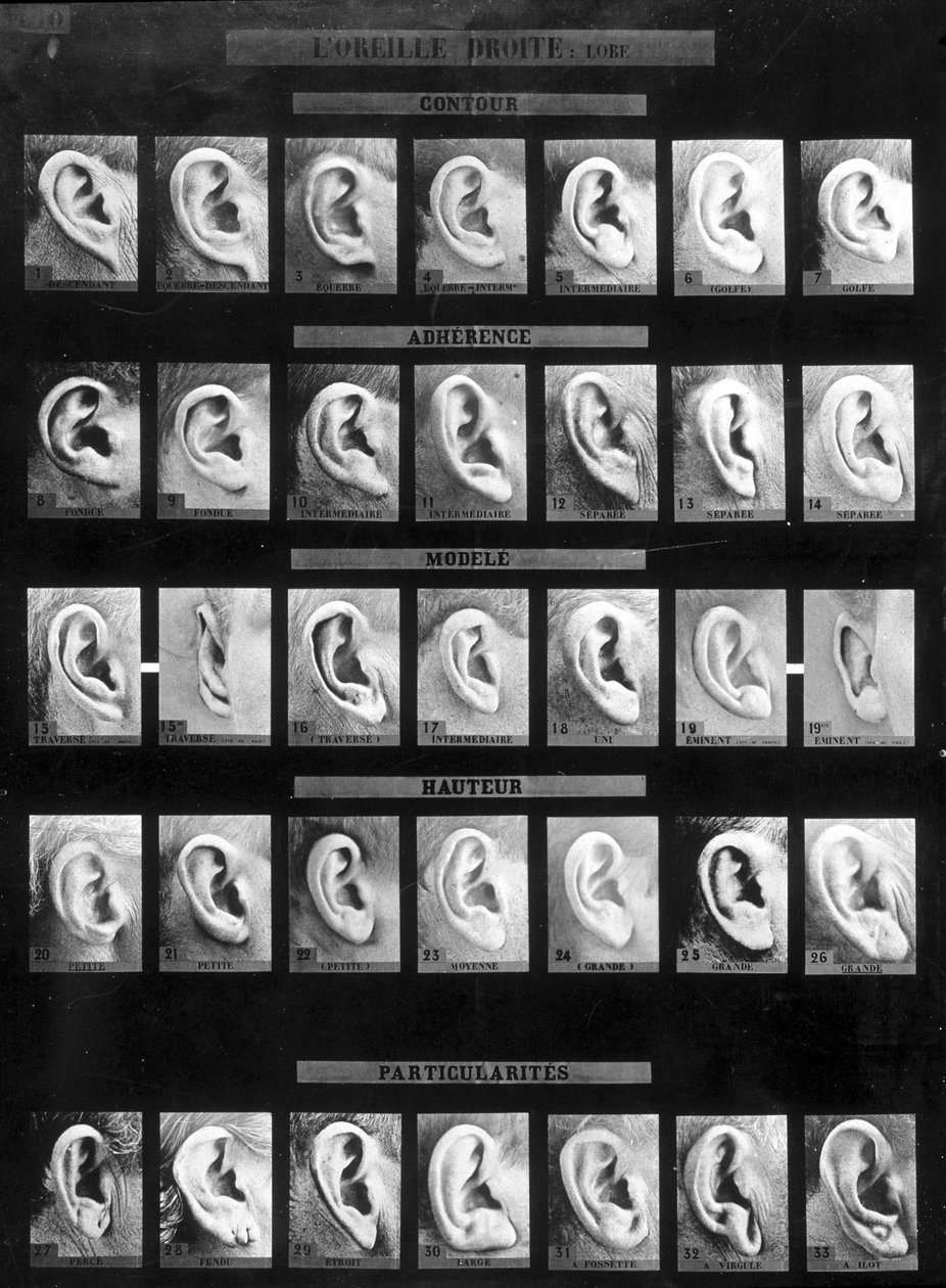 Antropometrická klasifikace a identifikace Bertillonova systému: srovnání různých typů rovných uší (laloku). sd. Konec 19. století. od French Photographer