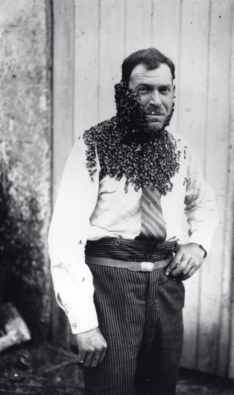 Včelař Angel Peuchaud pokrytý včelami v Angouleme, Charentes, Francie od French Photographer
