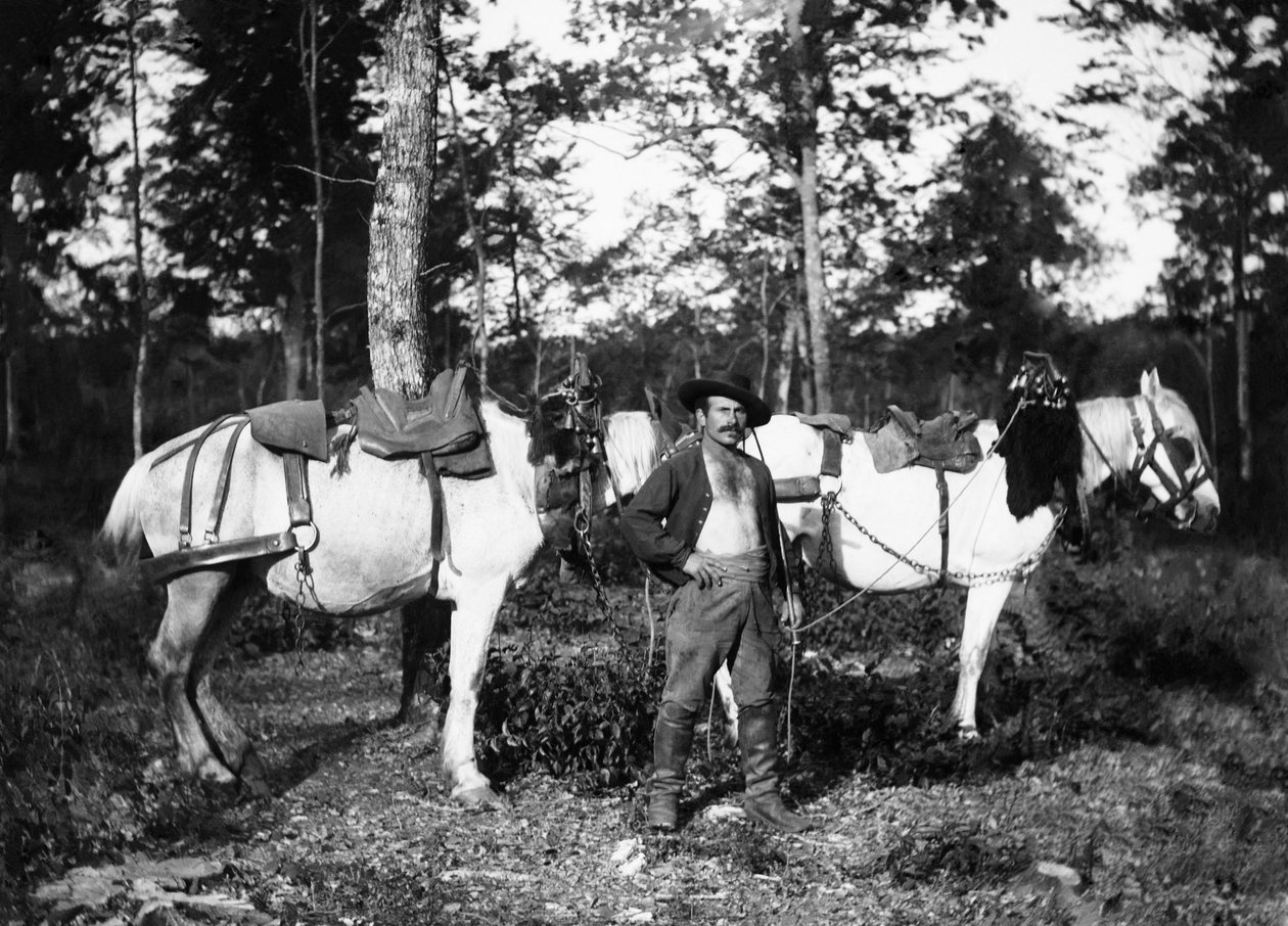 Bucheron se svými koňmi, v blízkosti Bourmont v Haute-Marne (Haute Marne). Kolekce Ducos. od French Photographer
