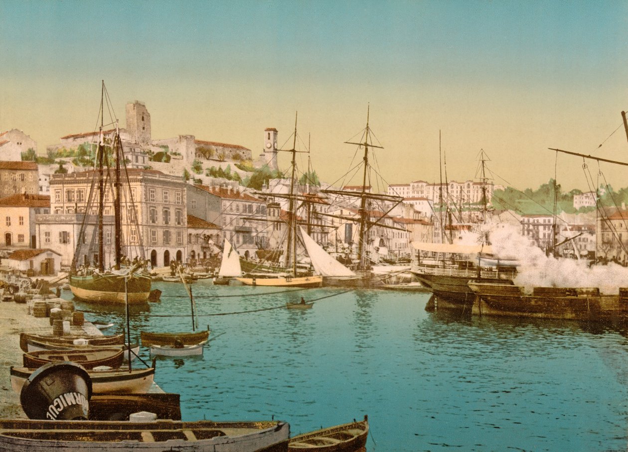 Celkový pohled na přístav Cannes, 1890-1900 od French Photographer