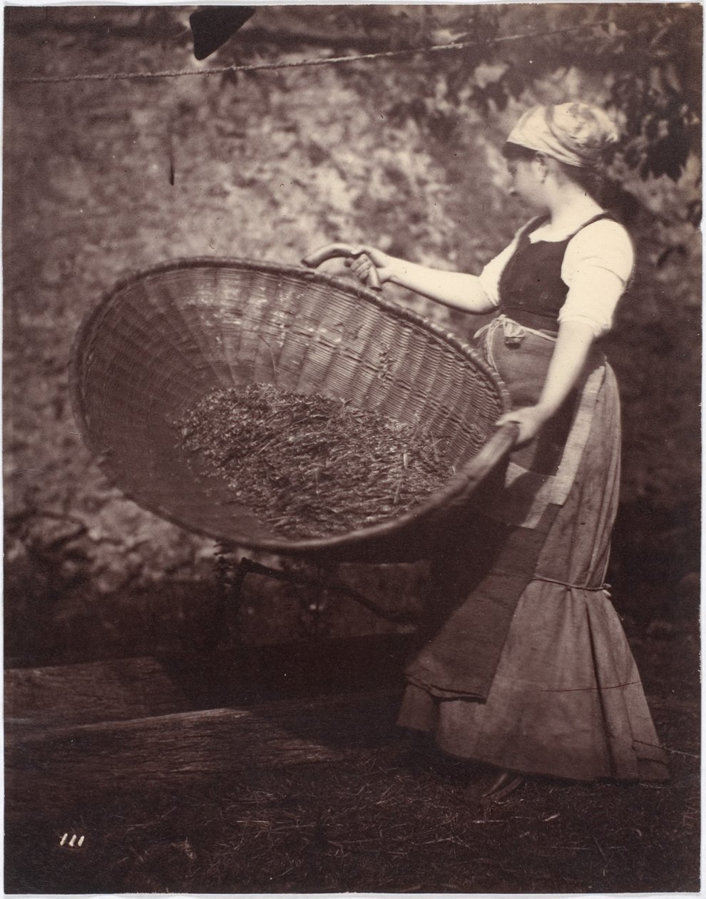 Rolnická žena s vítězným košem od French Photographer