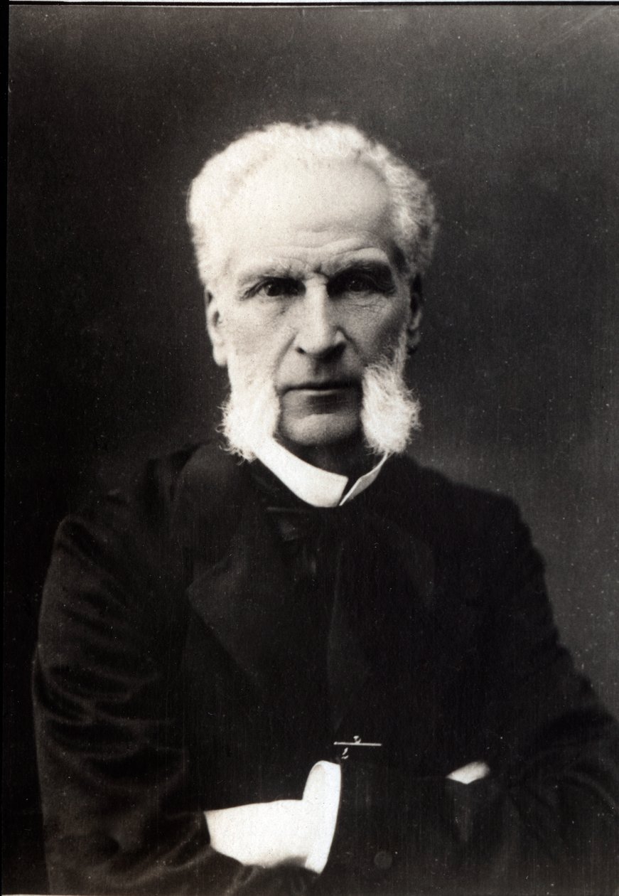 Portrét Aime Joseph Edmond Rousse (1817-1906), francouzský právník. od French Photographer