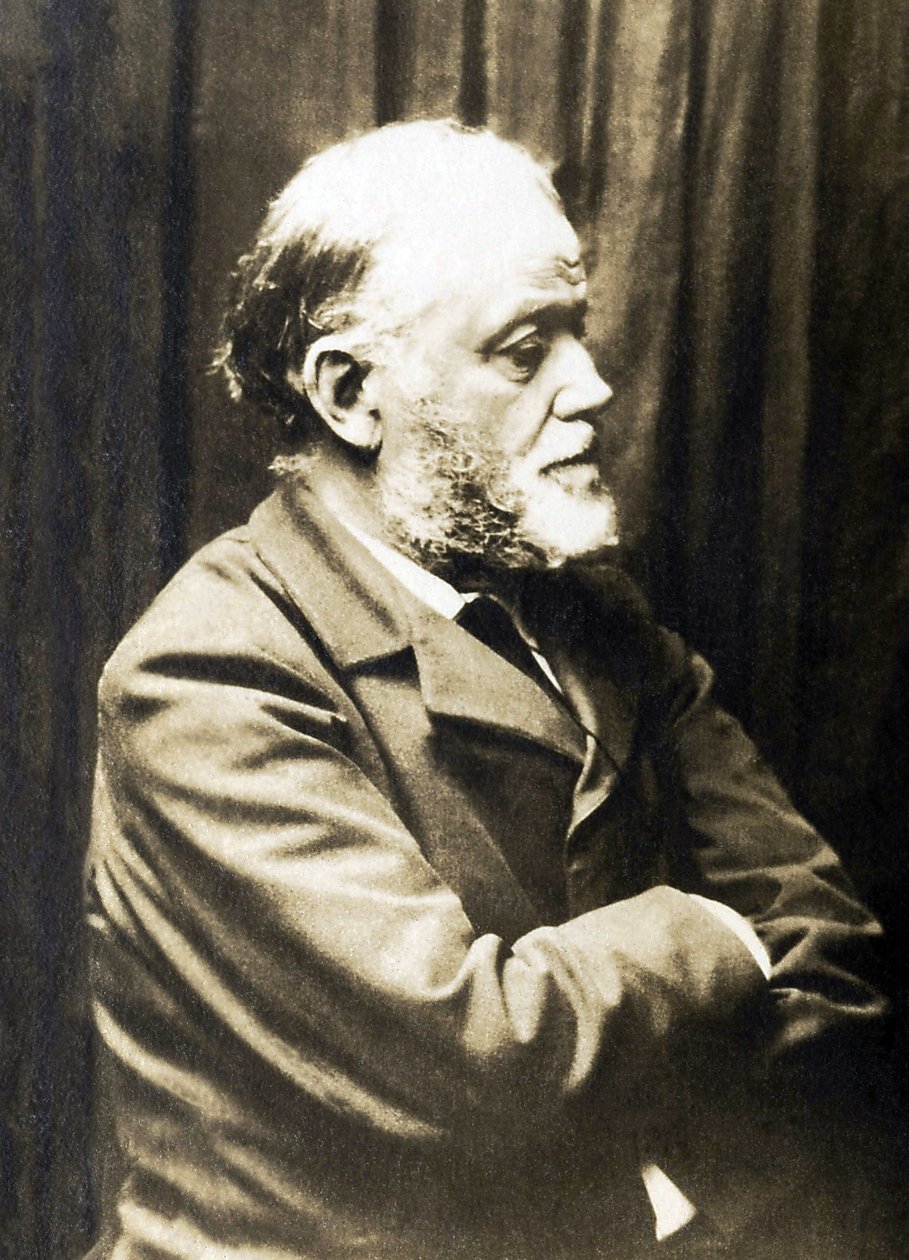 Portrét Henriho Fantina Latoura (Fantin-Latour) od French Photographer