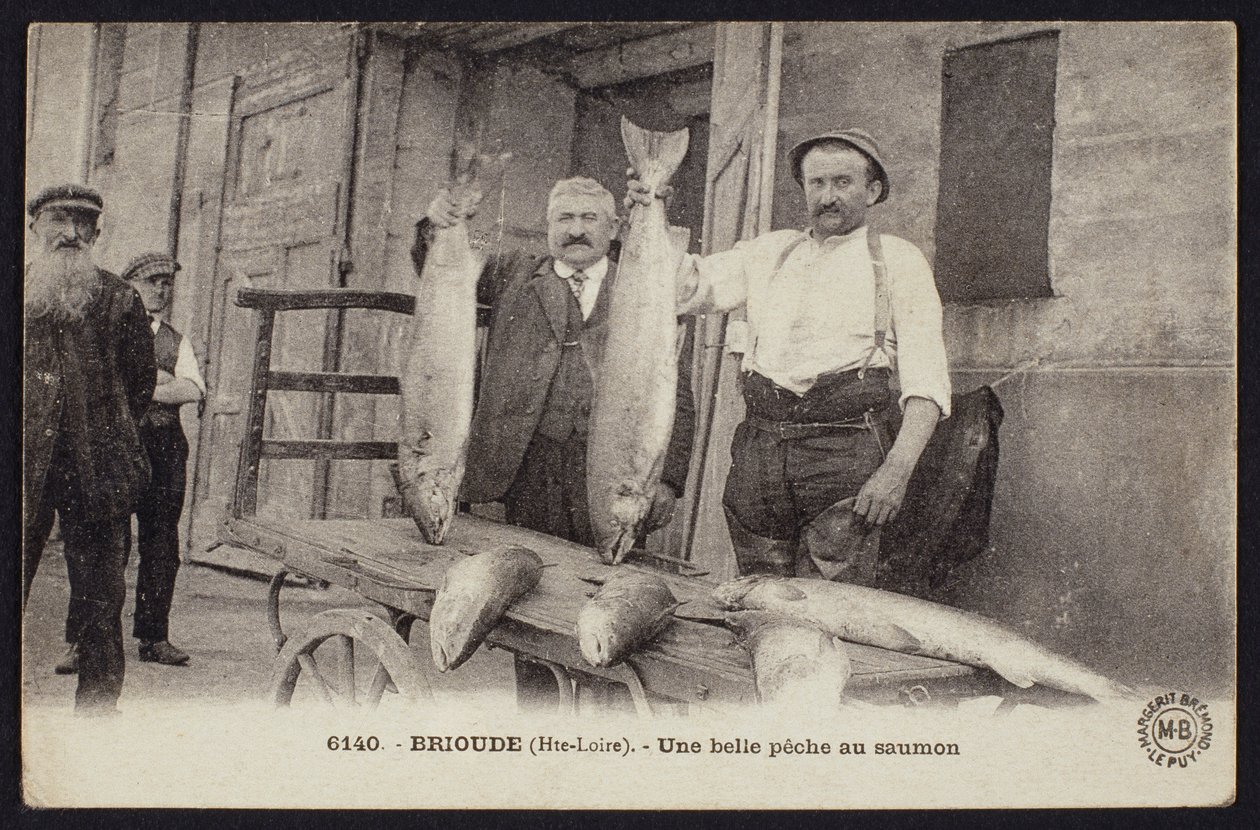 Pohlednice zobrazující dobrý úlovek lososa v Brioude, Haute-Loire, kolem roku 1900 od French Photographer
