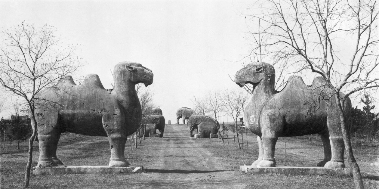 Posvátná cesta k hrobce císaře Ming Hongwu (1327-98) v Nanjing, Čína od French Photographer