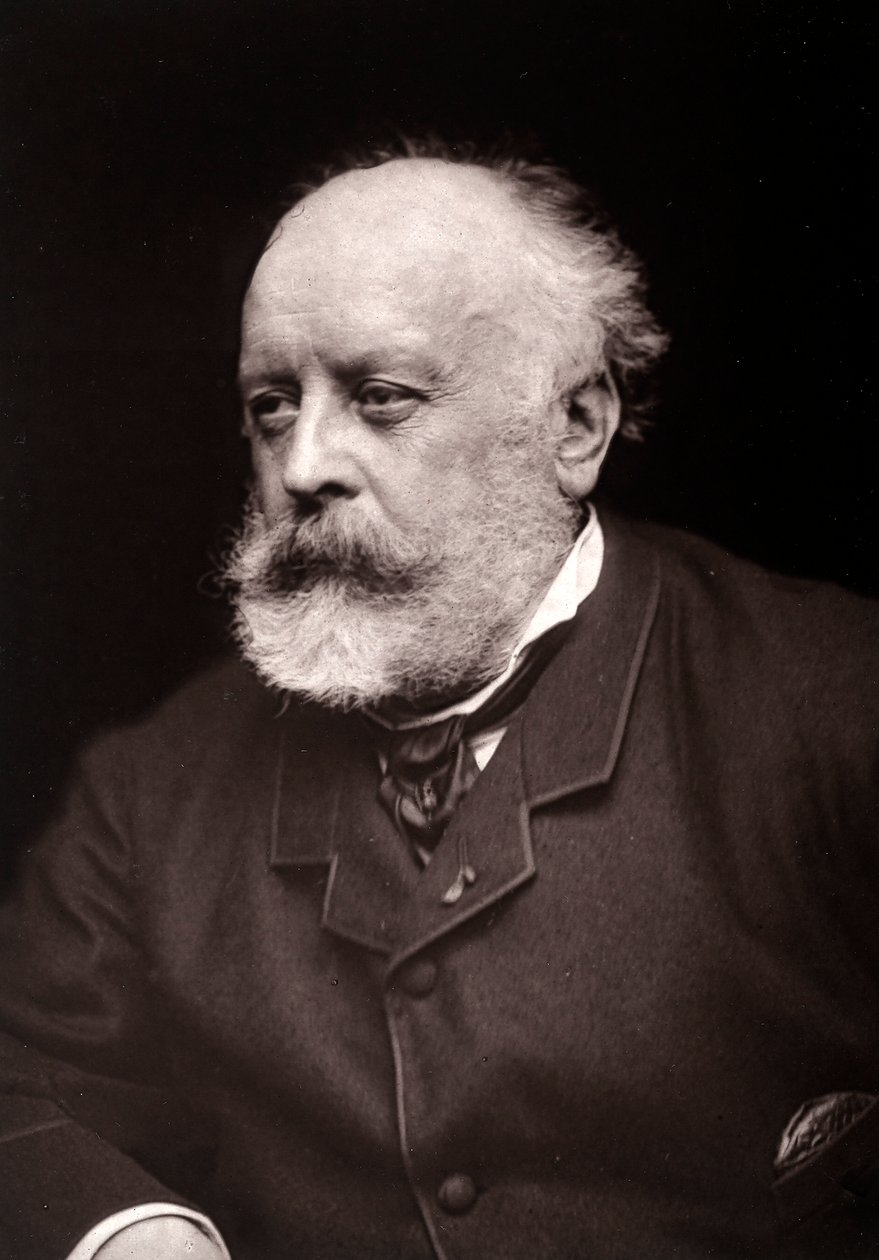 Portrét umělce Evariste-Vital Luminaise u příležitosti pařížského salonu v roce 1885. od French Photographer
