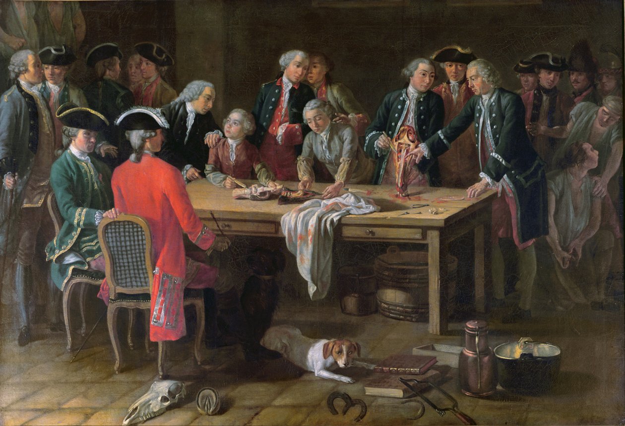 Lekce hipiatrické anatomie s Philippem-Etiennem Lafossem (1738-1820) od French School