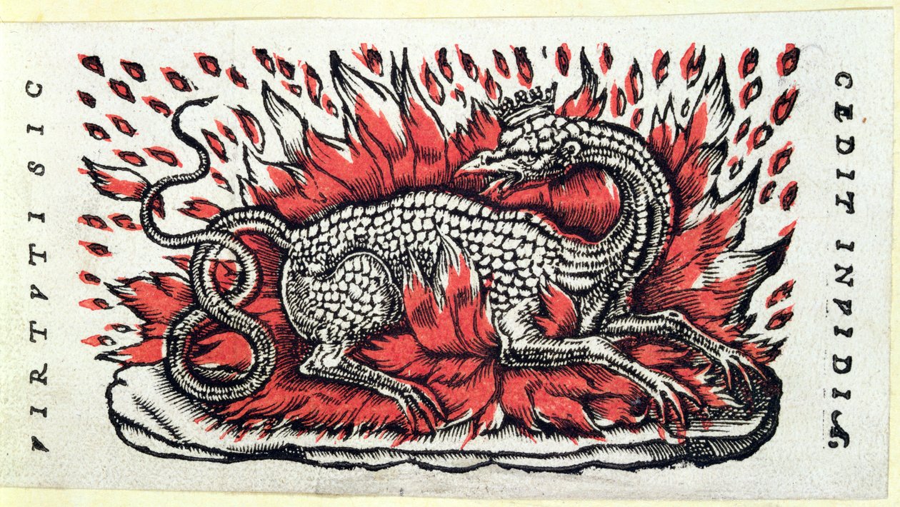 Salamander, 1. polovina 16. století od French School