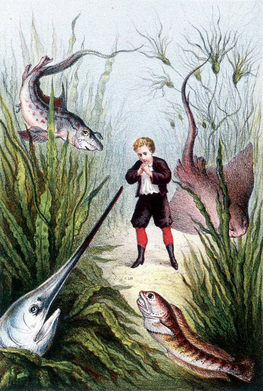 Chlapec obklopený obřími rybami - v "Cestě na dno moře" od H. de la Blanchère. Paříž, vyd. Jouvet et Cie, sd. 1880. (double 02941) od French School