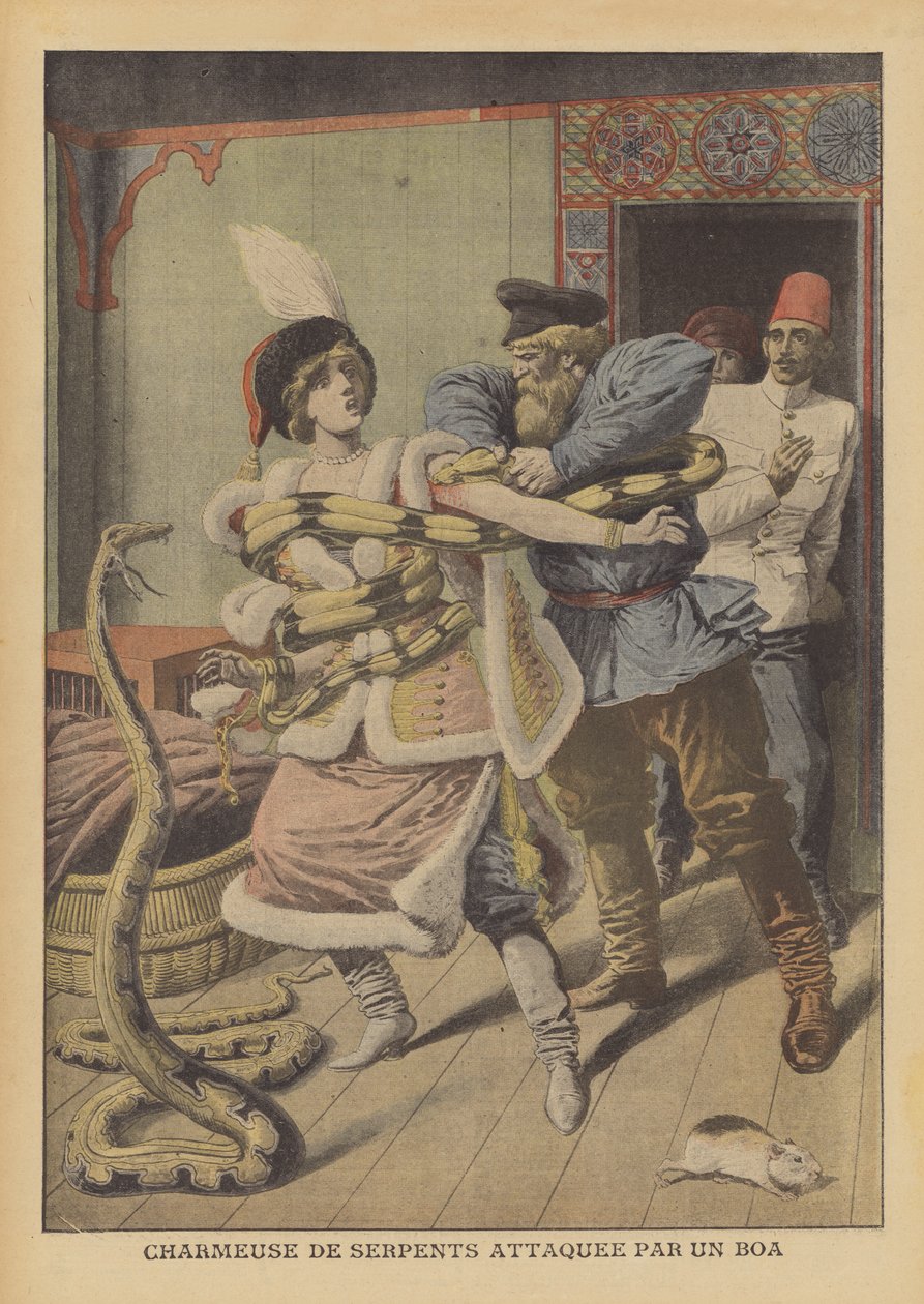 Zaklínačka hadů napadená hroznýšem v Alexandrii (barevná litografie) od French School