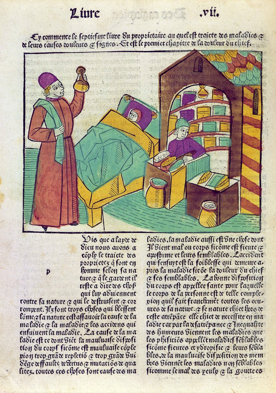 Pacient s lékařem a lékárníkem, z Le Livre des Proprietes des Choses od Barthelemyho lAnglaise, 1485 (barevný dřevoryt) od French School