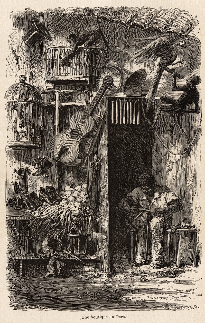 Obchod v Para, ilustrace k cestě Mr.Biarda do Brazílie v letech 1858-1859. Rytina v “”Le tour du monde”” 1861. Selva sbírka. od French School