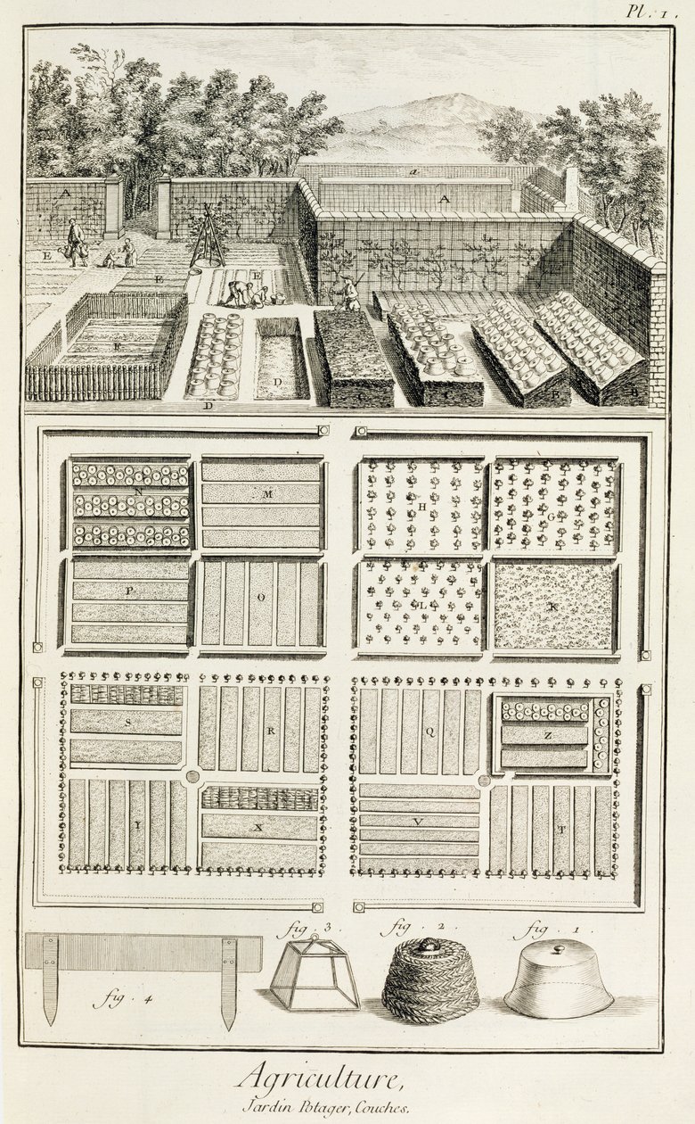 Zeleninová zahrada, z Encyklopedie vědy, umění a inženýrství od Denise Diderota (1713-84), kolem 1770 od French School
