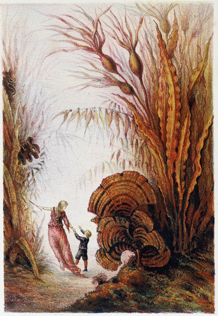 Žena a chlapec se procházejí podmořským světem - v "Cestě na dno moře" od H. de la Blanchère. Paříž, vyd. Jouvet et Cie, sd. 1880. od French School