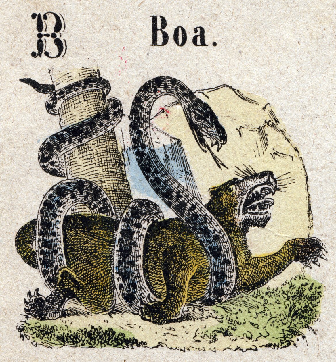 Abecedary. Písmeno B jako Boa. Malá encyklopedická abeceda, populární série. Epinal imaging, konec 19. století od French School