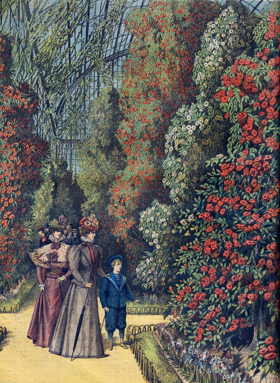 Aklimatizační zahrada - la serre des camelias - Skleník kamélií v botanické zahradě od French School