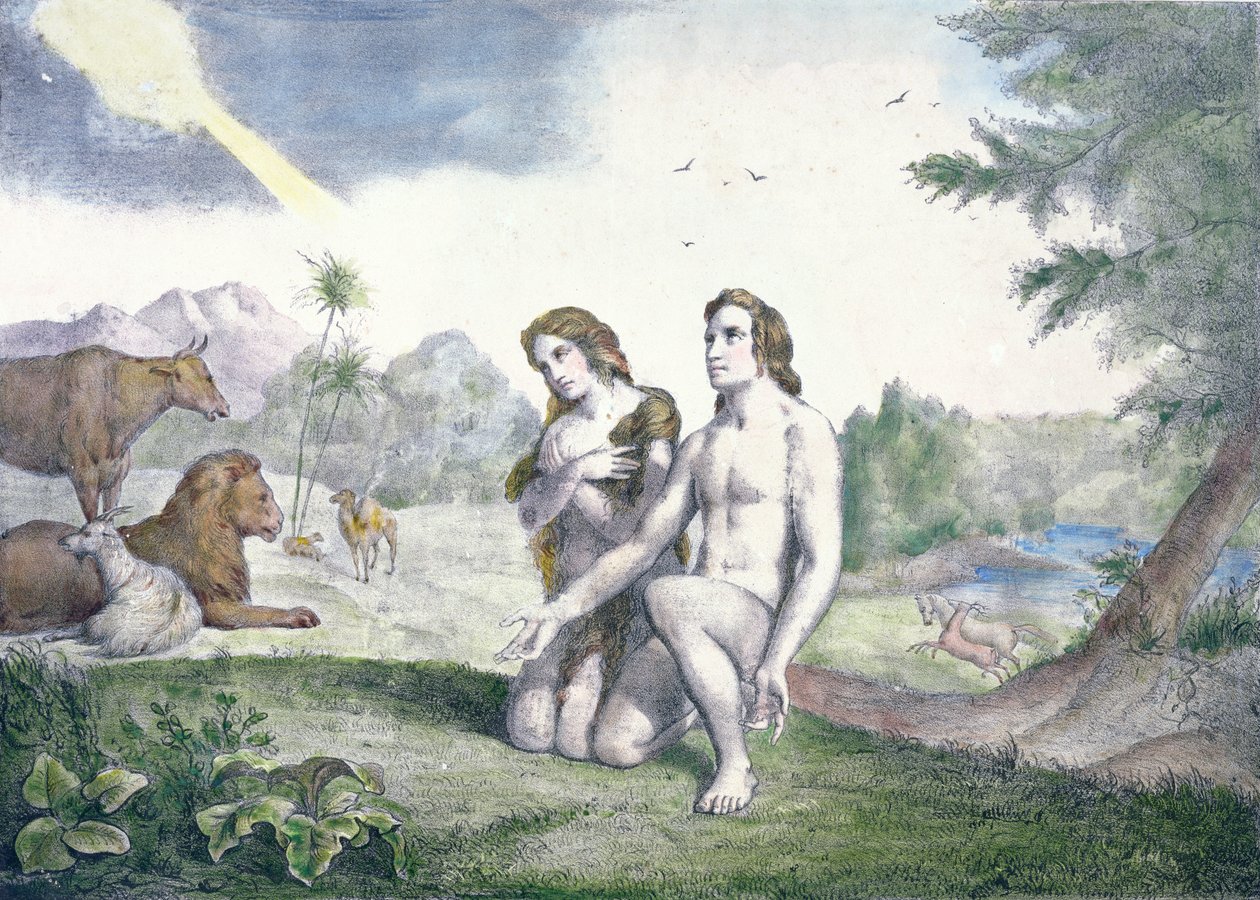 Adam a Eva v rajské zahradě, konec 19. století (barevná rytina) od French School