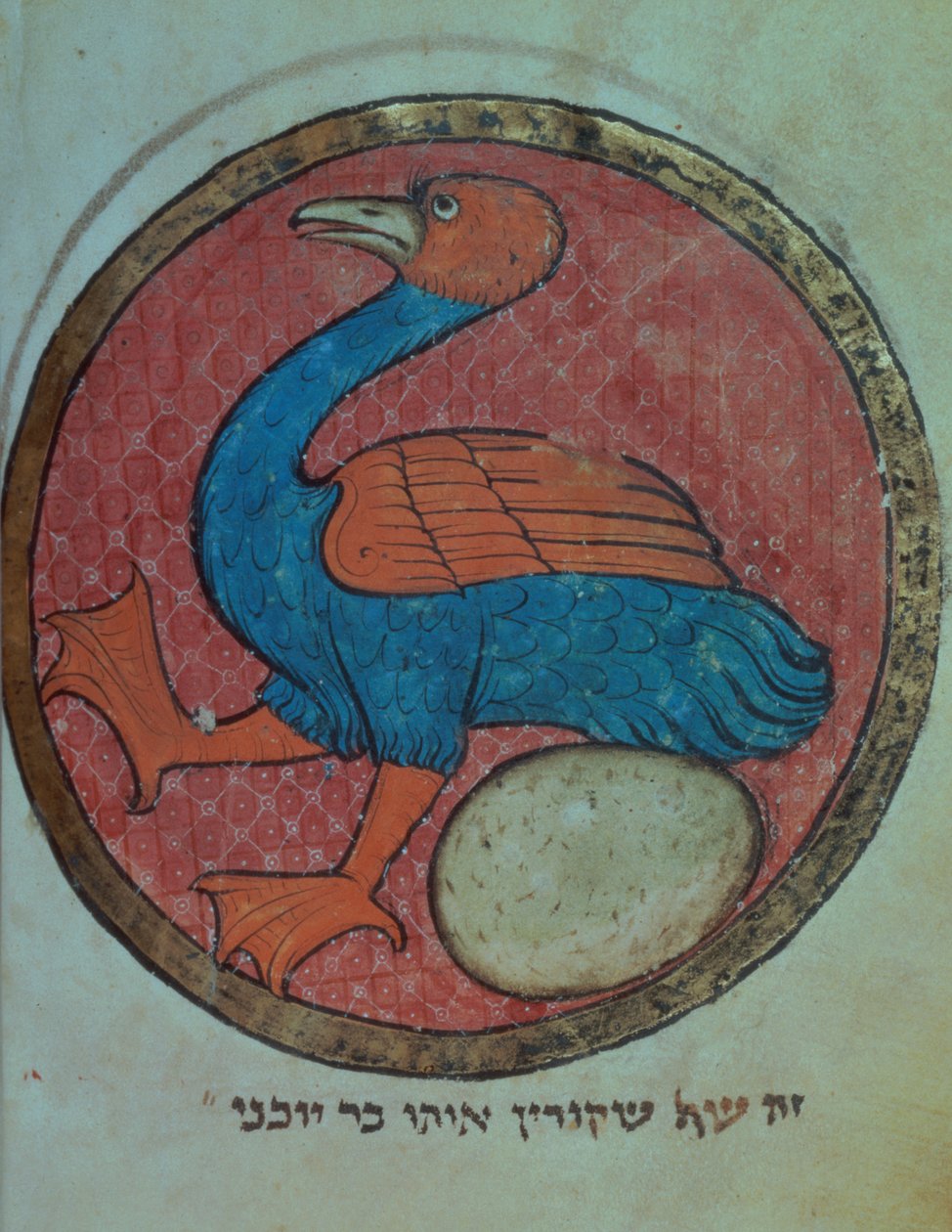 Přidat 11639 f.517v Fantastický pták s vejci, ze severofrancouzského Miscellany, cca 1280 (vellum) od French School