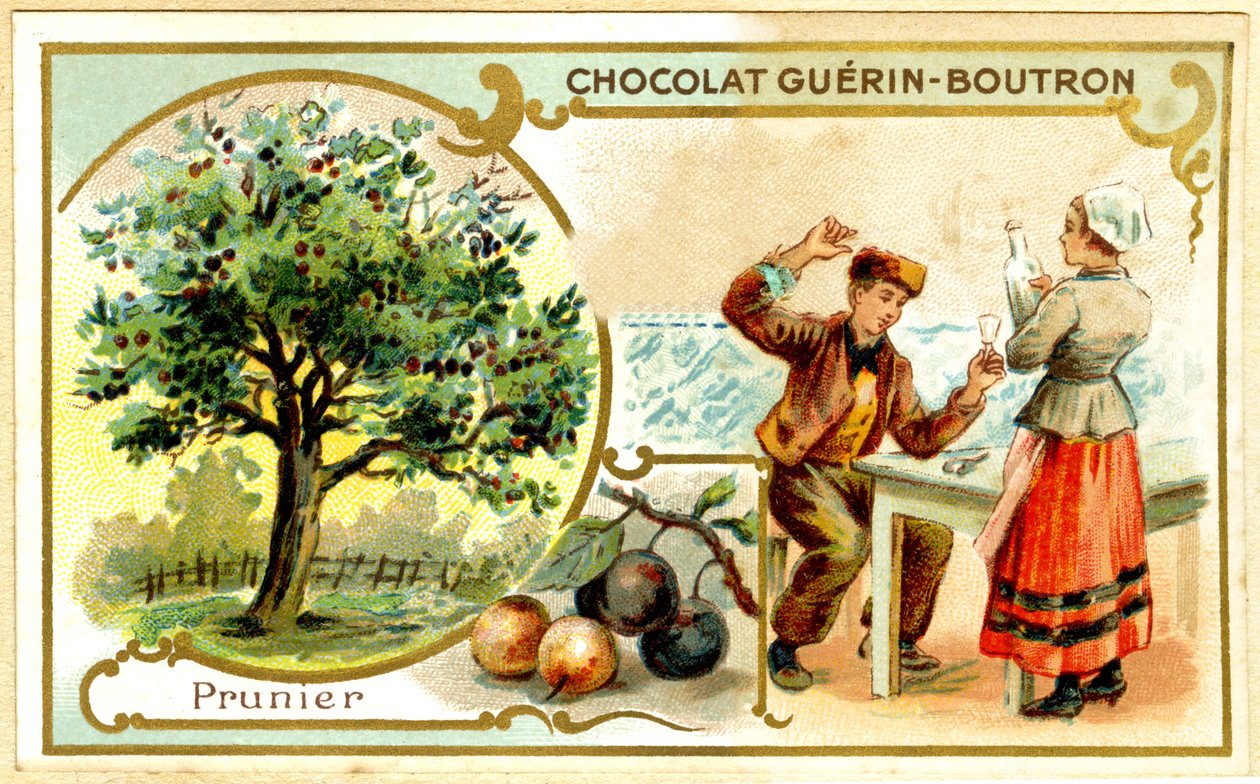 Reklamní chromolitografie čokolád Guérin Boutron (chromolitograf) od French School