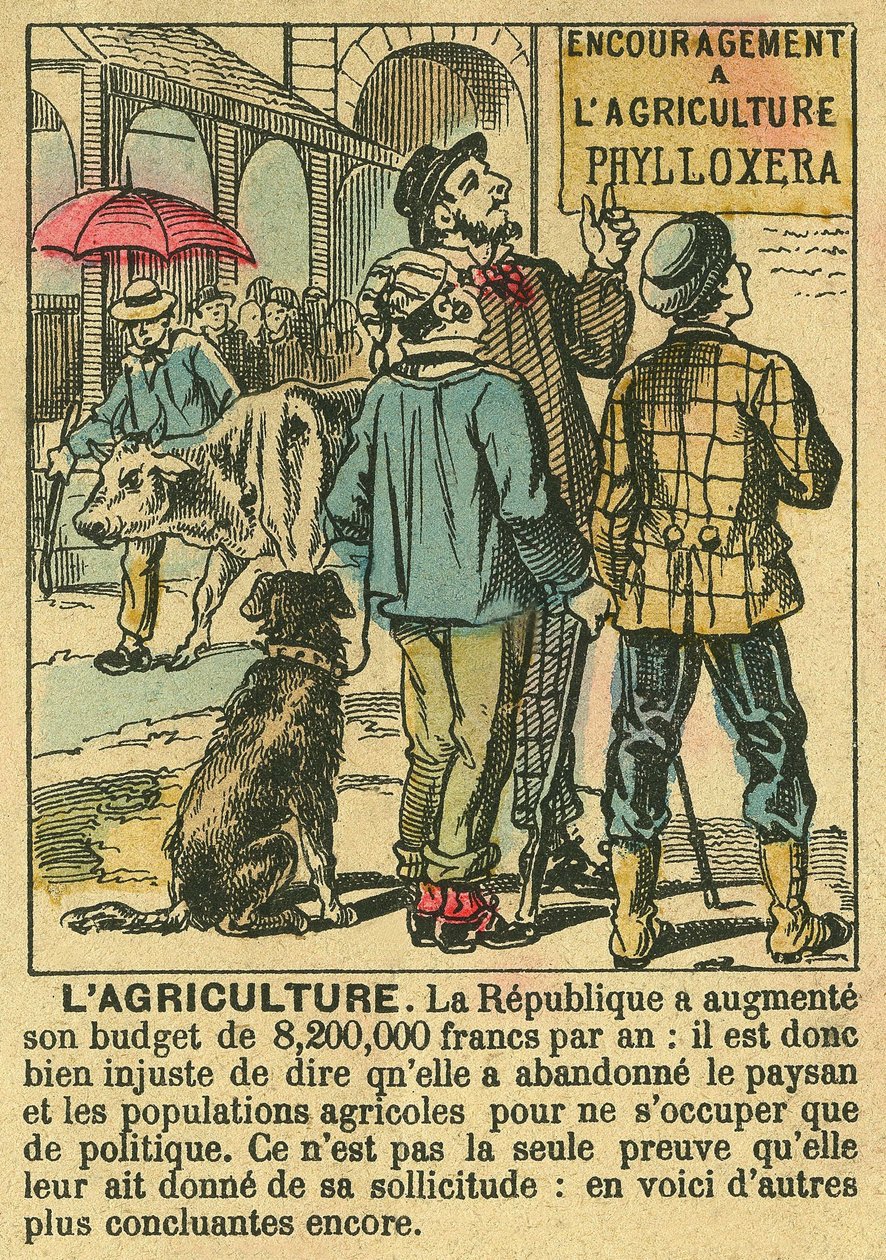 Zemědělství ilustruje přínosy Třetí republiky pro zemědělské investice a její zájem o rolnické populace. Rytina, v „“Le Figaro, příloha““, 30. 3. 1889, Paříž. Coll. Selva. od French School